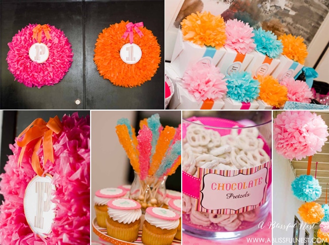 1st Birthday Party Ideas by A Blissful Nest