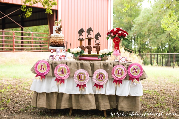 Lauren’s Horse Party – The Dessert Table