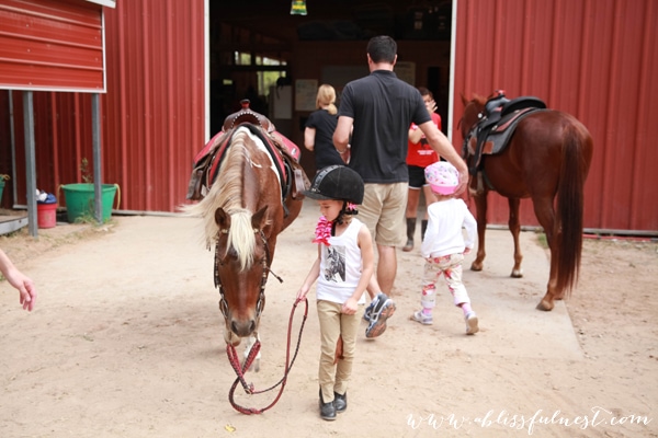 Horse Party by A Blissful Nest 