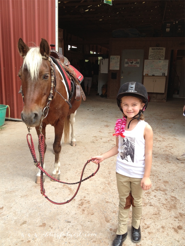 Horse Party by A Blissful Nest 