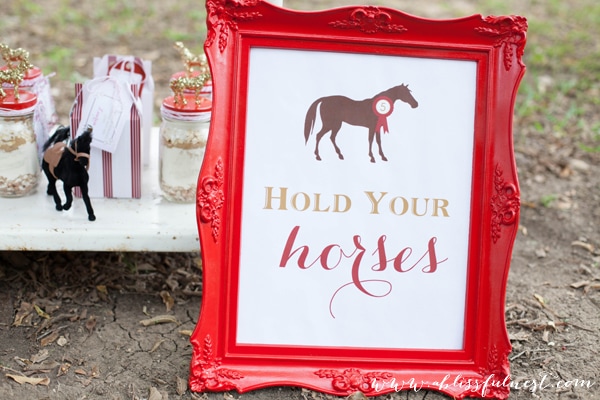 Lauren’s Horse Party – Horse Party Favors