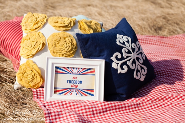 4th of July Party Ideas by A Blissful Nest