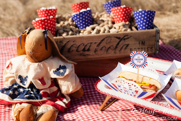 4th of July Party Ideas by A Blissful Nest