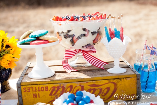 4th of July Party Ideas by A Blissful Nest