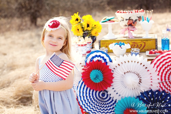4th of July Party Ideas by A Blissful Nest