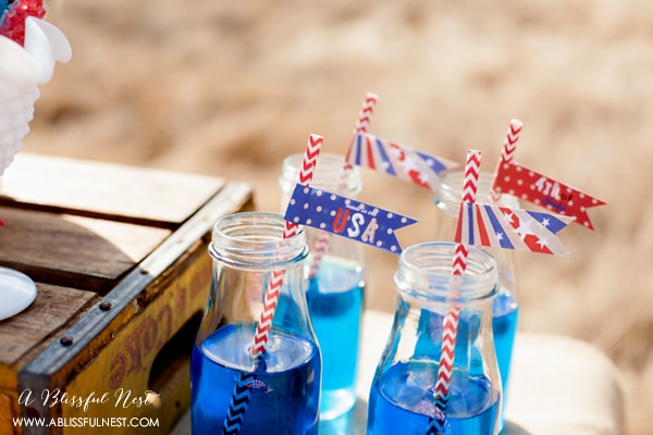 4th of July Party Ideas by A Blissful Nest 