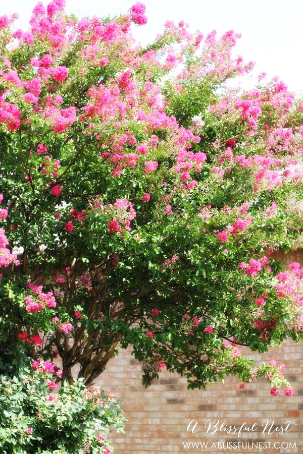 Tree Branch Flower Arrangement by A Blissful Nest 