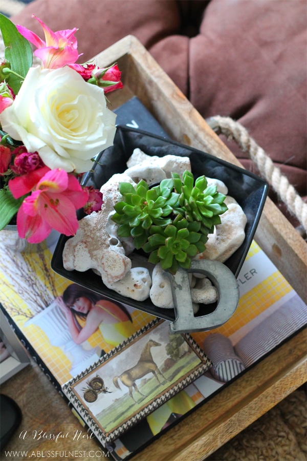 Decorating with House Plants by A Blissful Nest 