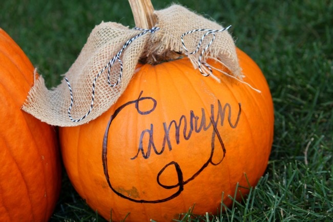 No Carve Pumpkin Ideas by Ellery Designs