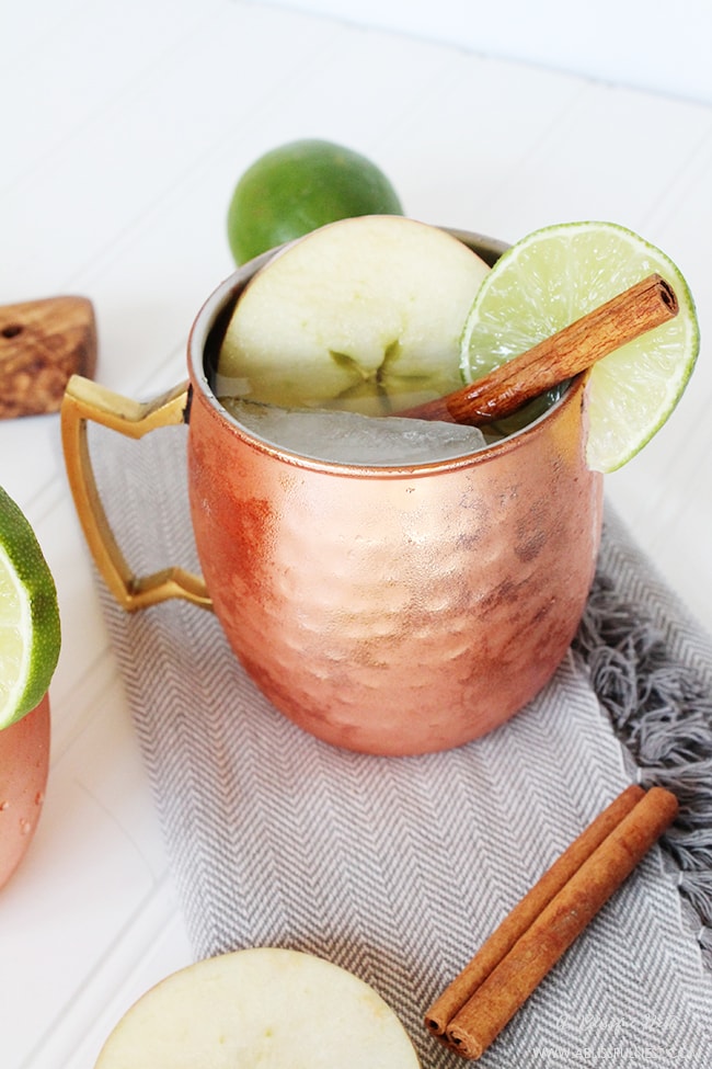 Cinnamon Apple Cider Moscow Mule by A Blissful Nest