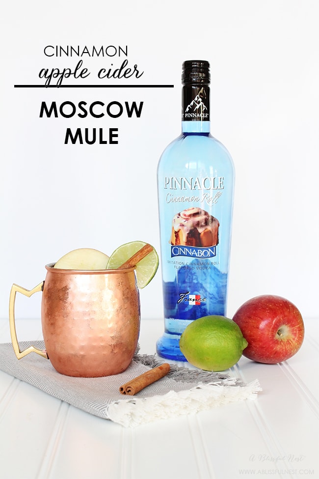 Cinnamon Apple Cider Moscow Mule by A Blissful Nest 