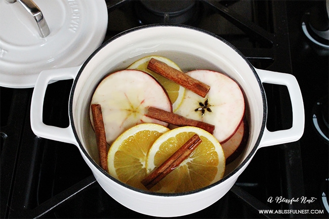 DIY Fall Stove Top Potpourri