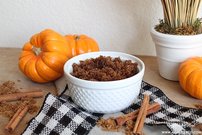 Pumpkin Pie Sugar Scrub Recipe by A Blissful Nest 