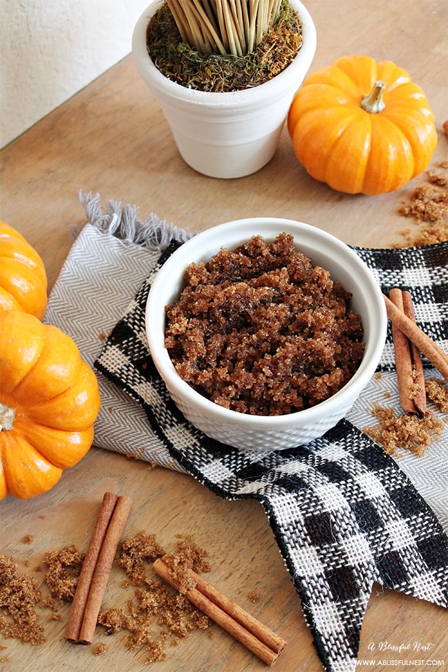 Pumpkin Pie Sugar Scrub by A Blissful Nest 