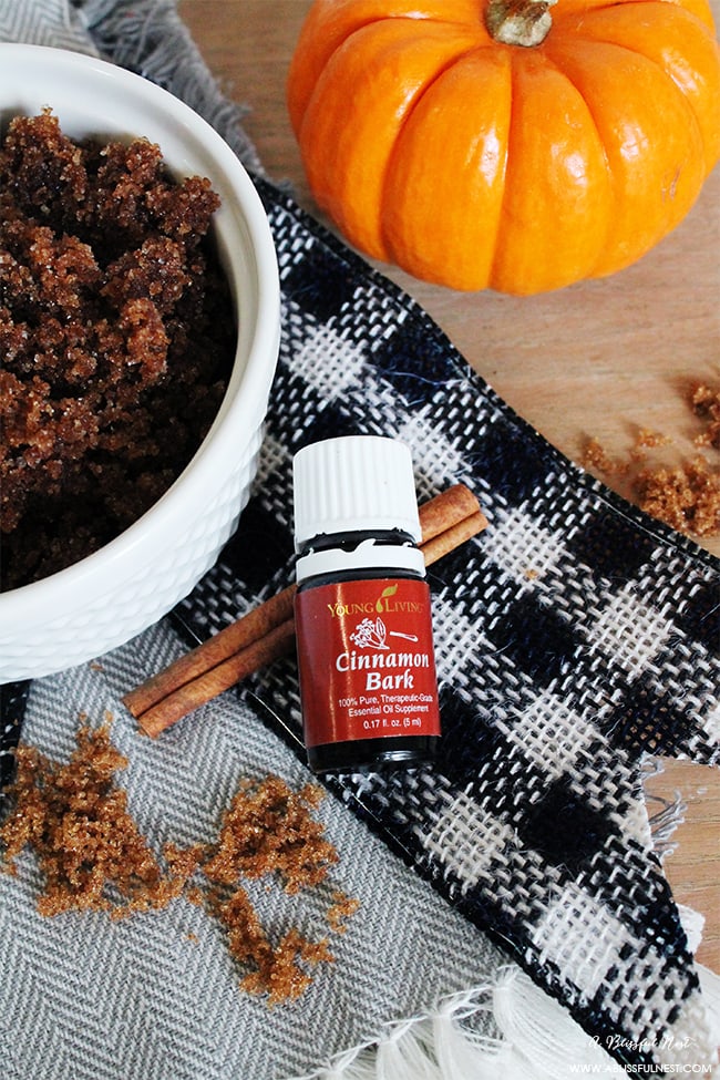 Pumpkin Spice Sugar Scrub Recipe by A Blissful Nest 