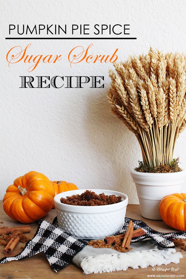 Pumpkin Spice Sugar Scrub by A Blissful Nest 