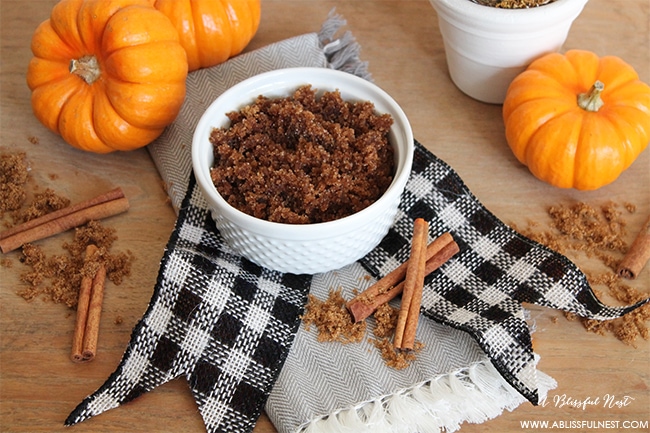 Pumpkin Spice Sugar Scrub by A Blissful Nest 