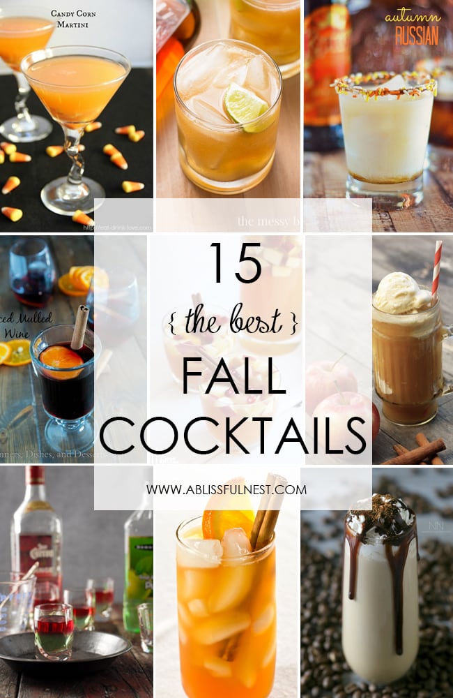 15 Fall Cocktails To Fall In Love With