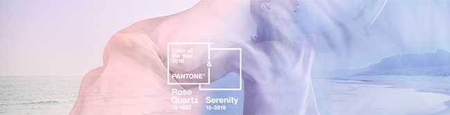 We are dissecting the Pantone Color OF The Year and showing you how to use it in your home. 