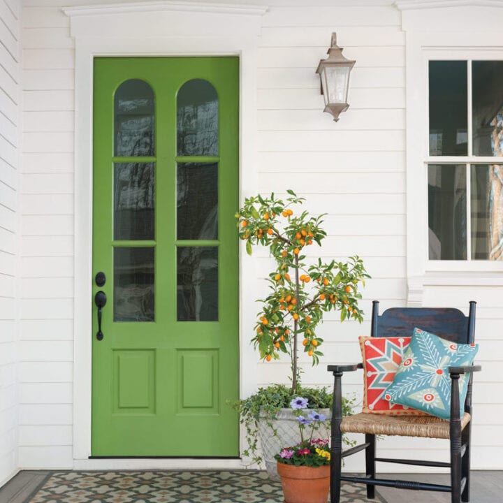 Image for Bright Fresh Green Door
