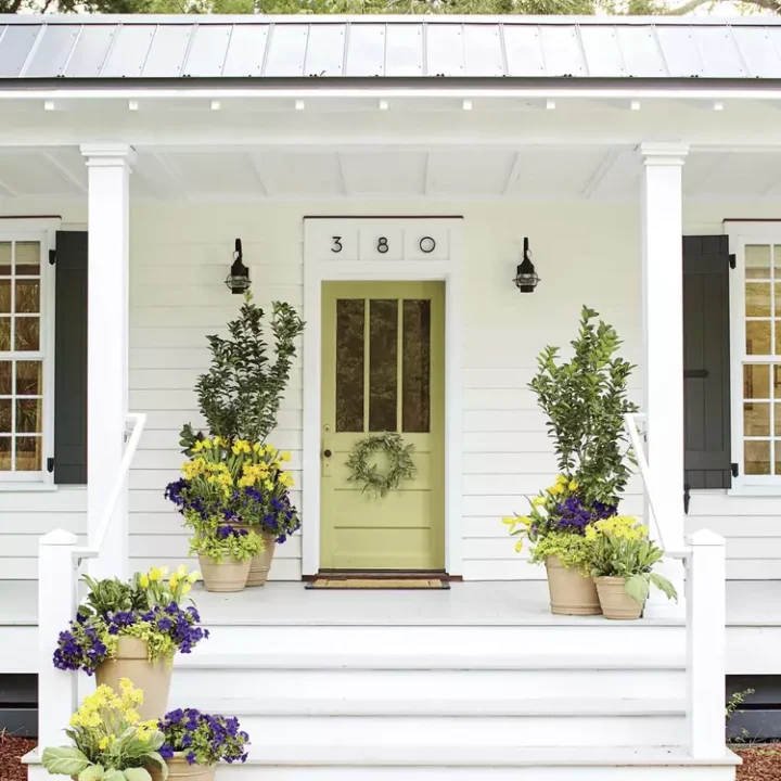 Image for Grassy Green Front Door