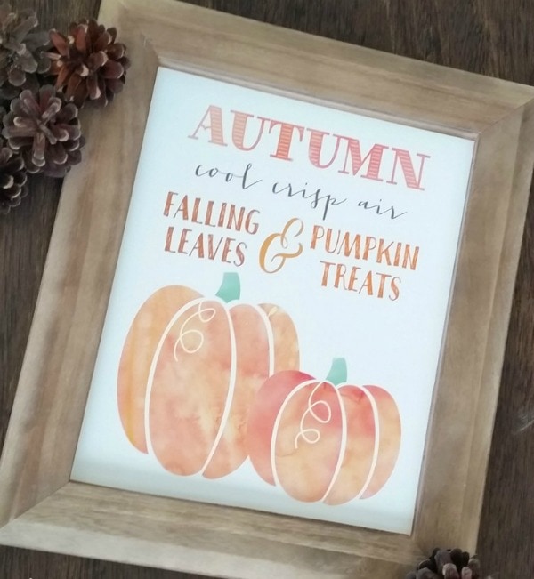 Autumn Pumpkins by Paperelli for Classy Clutter, 30 Free Fall Printables
