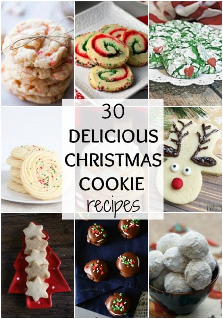 30 Delicious Christmas Cookie Recipes - A Blissful Nest