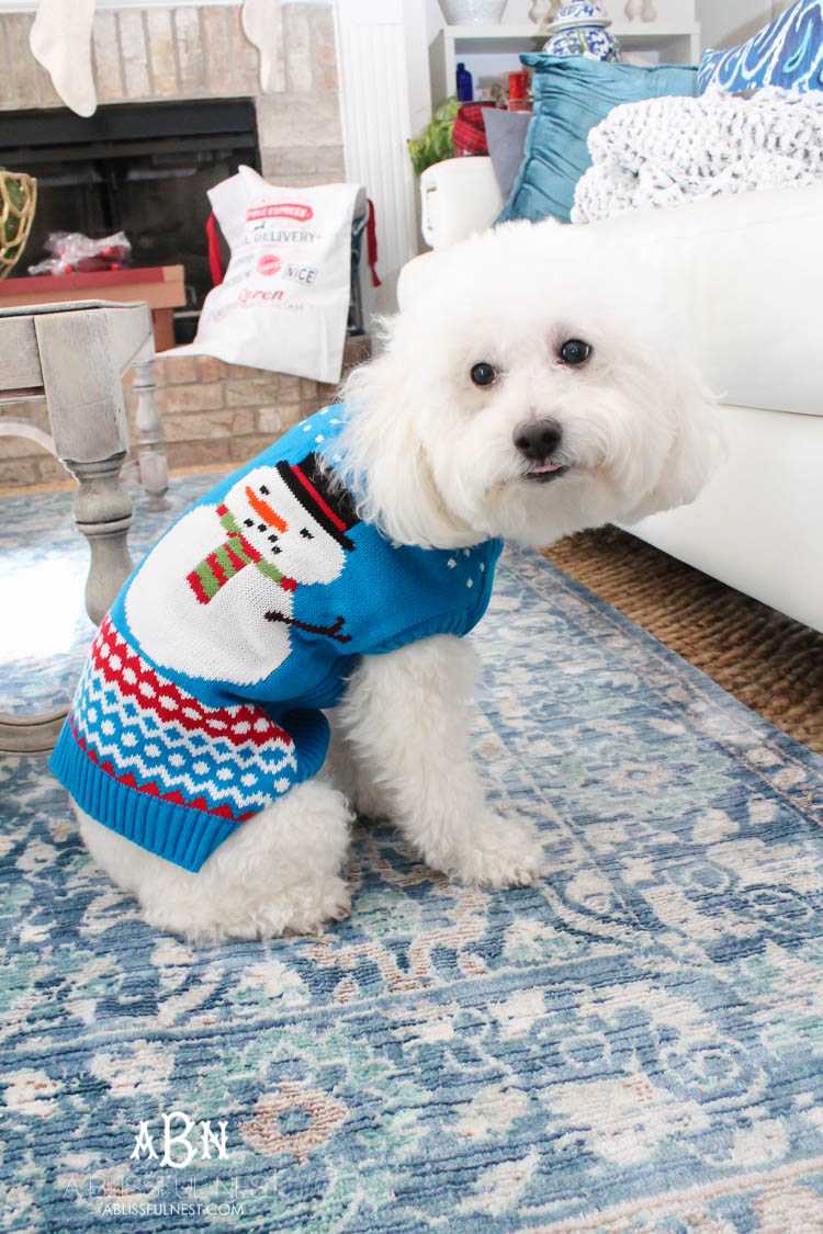 We adore Cesar dog food and are celebrating with these super cute matching sweaters! https://ablissfulnest.com/