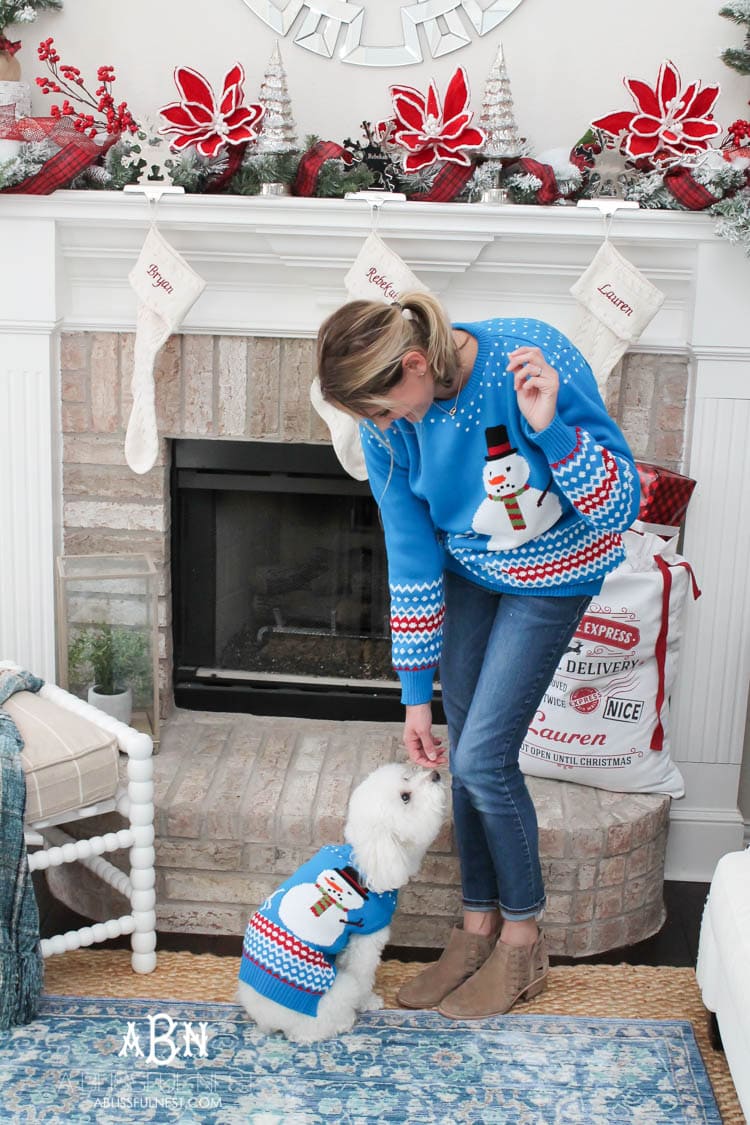 We adore Cesar dog food and are celebrating with these super cute matching sweaters! https://ablissfulnest.com/ 