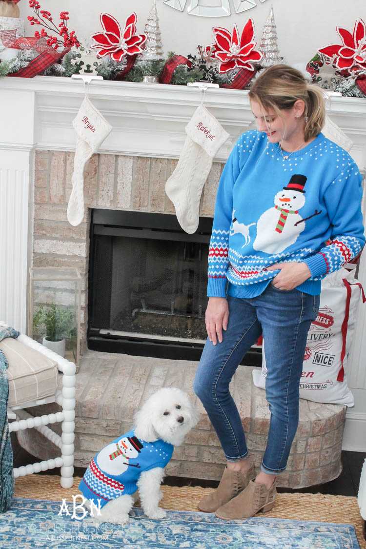 We adore Cesar dog food and are celebrating with these super cute matching sweaters! https://ablissfulnest.com/ 