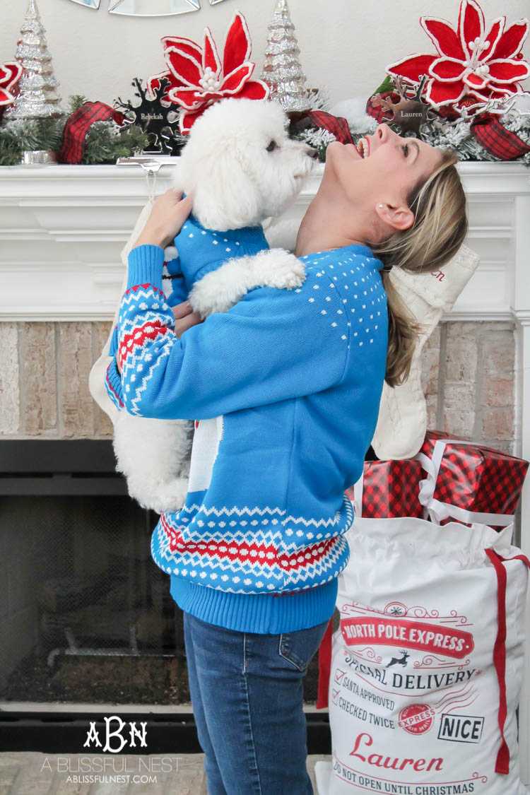 We adore Cesar dog food and are celebrating with these super cute matching sweaters! https://ablissfulnest.com/ 