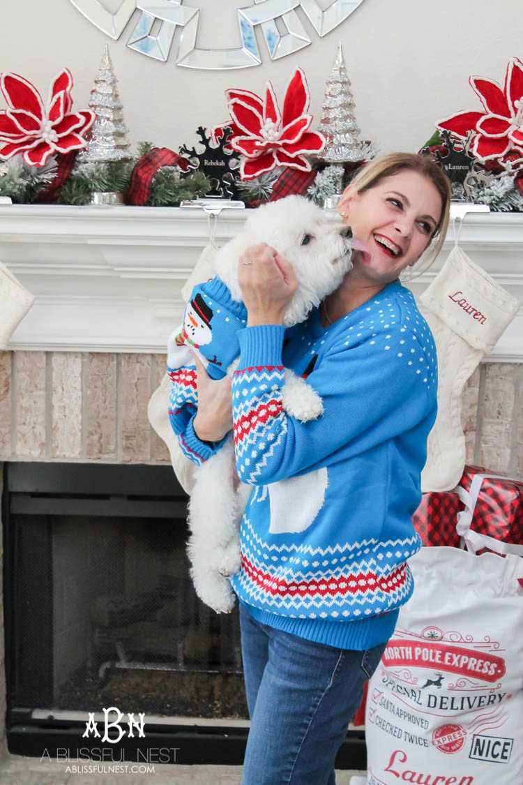 We adore Cesar dog food and are celebrating with these super cute matching sweaters! https://ablissfulnest.com/ 