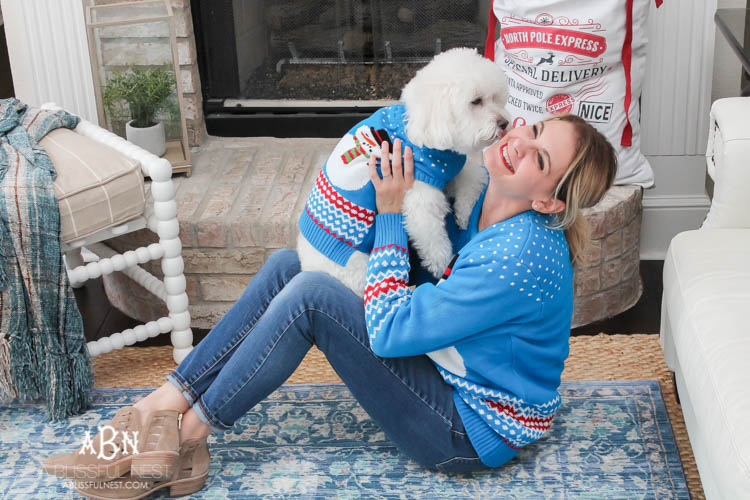 We adore Cesar dog food and are celebrating with these super cute matching sweaters! https://ablissfulnest.com/