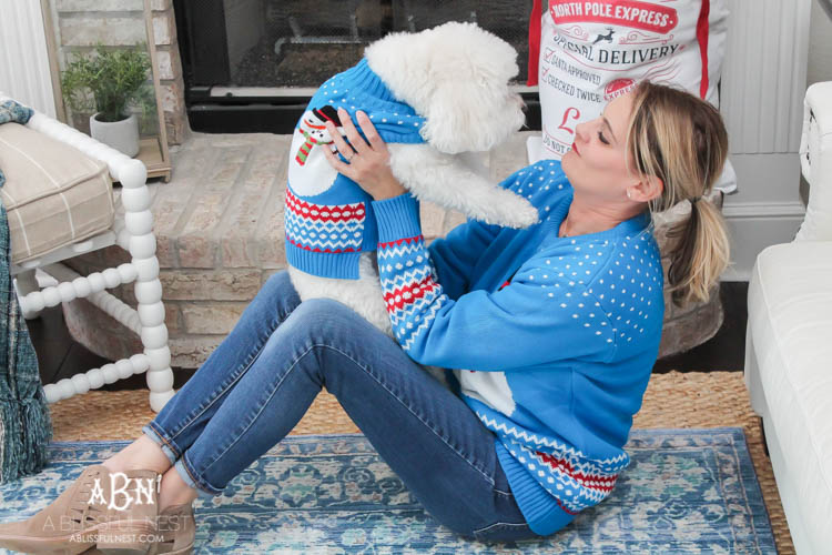 We adore Cesar dog food and are celebrating with these super cute matching sweaters! https://ablissfulnest.com/