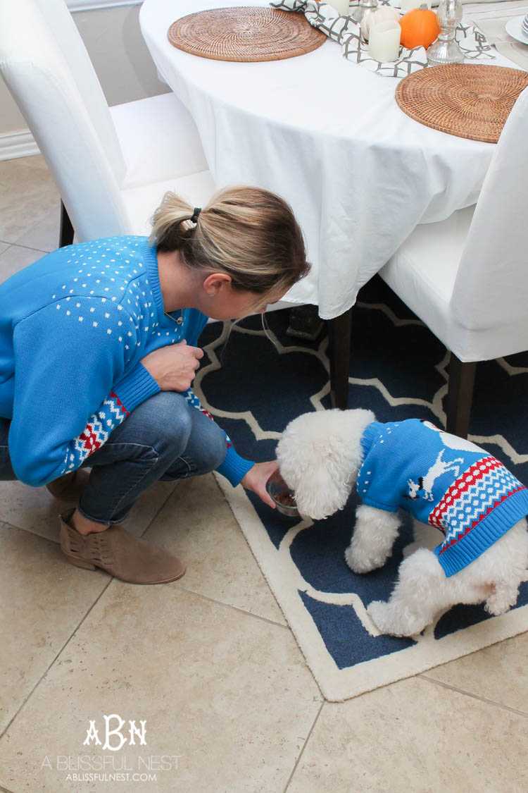 We adore Cesar dog food and are celebrating with these super cute matching sweaters! https://ablissfulnest.com/ 