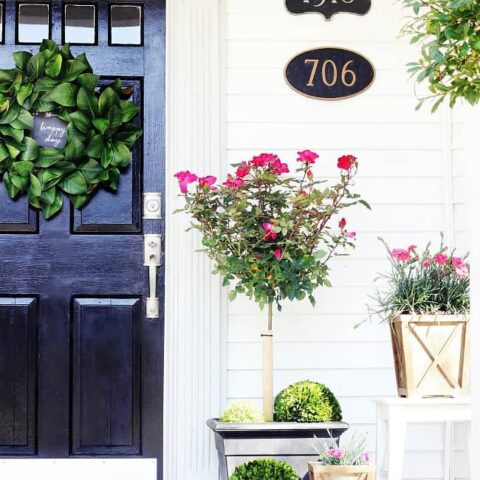 Image for Spring Planters