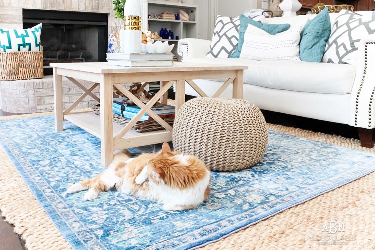 Grab these tips to live blissfully with pets with the amazing products from Skout's Honor. See more on https://ablissfulnest.com/ #ad #skoutshonor #skoutspawpledge