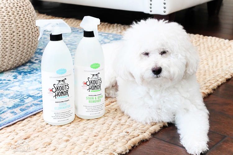 Grab these tips to live blissfully with pets with the amazing products from Skout's Honor. See more on https://ablissfulnest.com/ #ad #skoutshonor #skoutspawpledge