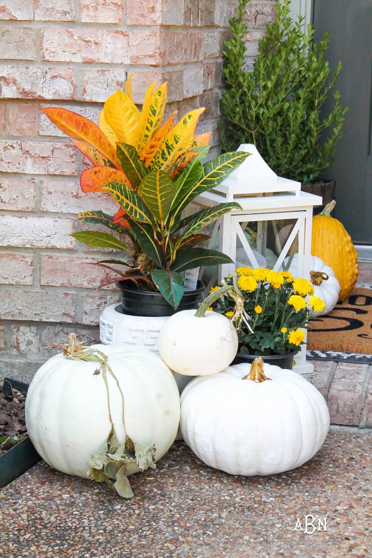 Classic colors with a pop of pattern make this gorgeous fall front porch! #fallfrontporch #falldecorideas