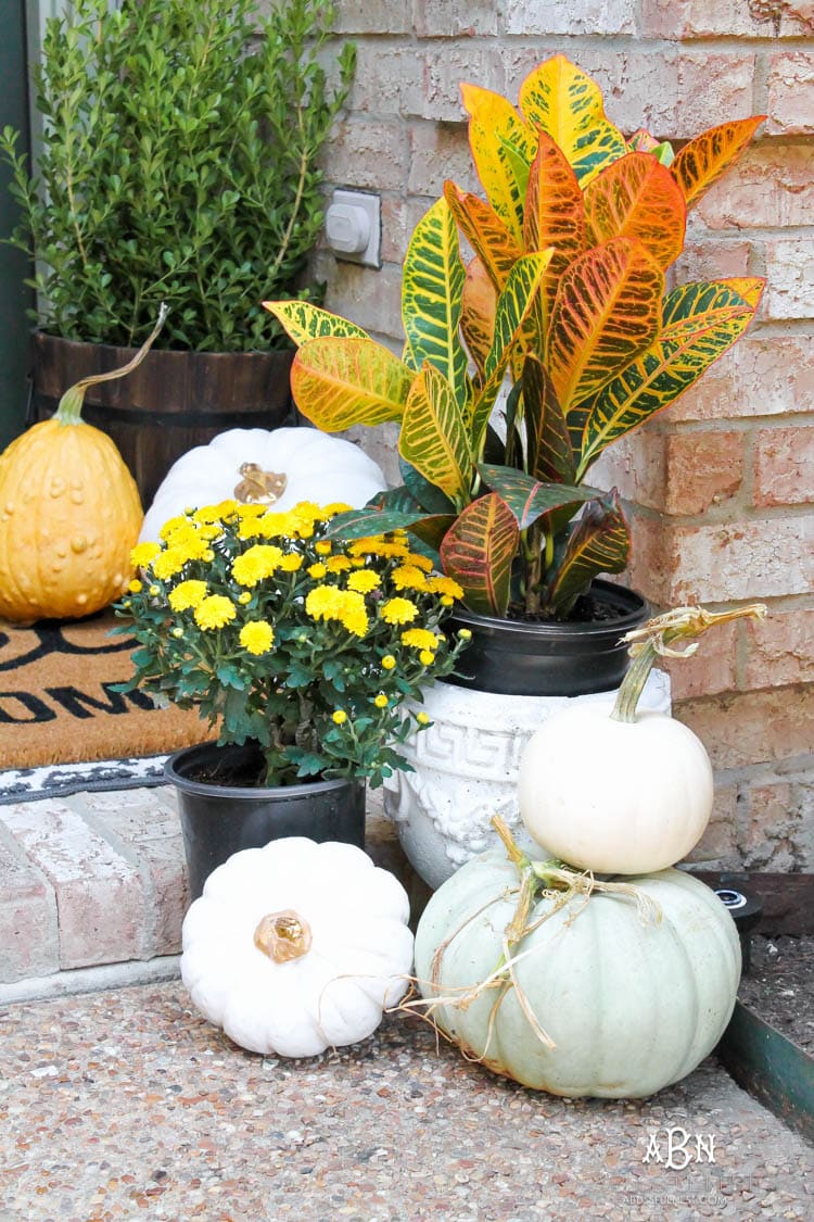 Classic colors with a pop of pattern make this gorgeous fall front porch! #fallfrontporch #falldecorideas