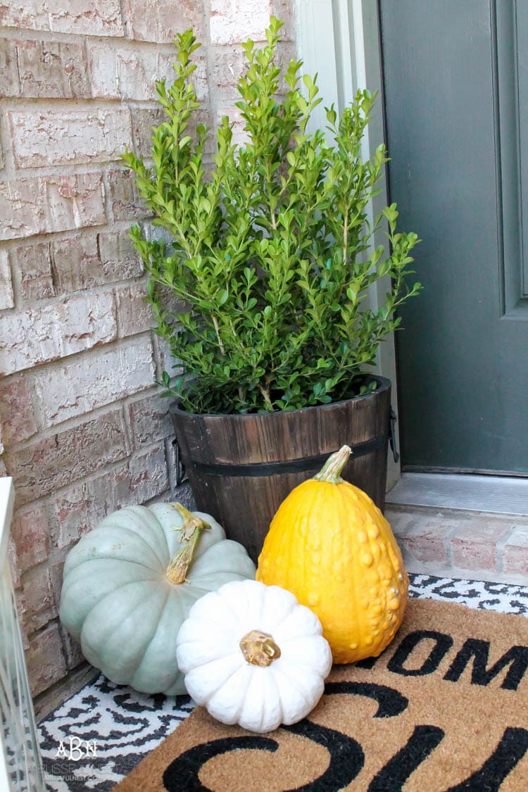 Classic colors with a pop of pattern make this gorgeous fall front porch! #fallfrontporch #falldecorideas