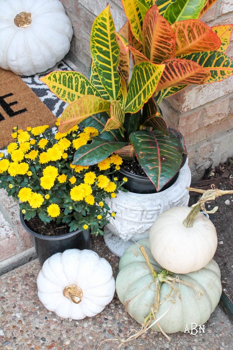 Classic colors with a pop of pattern make this gorgeous fall front porch! #fallfrontporch #falldecorideas