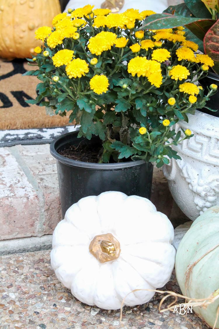 Classic colors with a pop of pattern make this gorgeous fall front porch! #fallfrontporch #falldecorideas