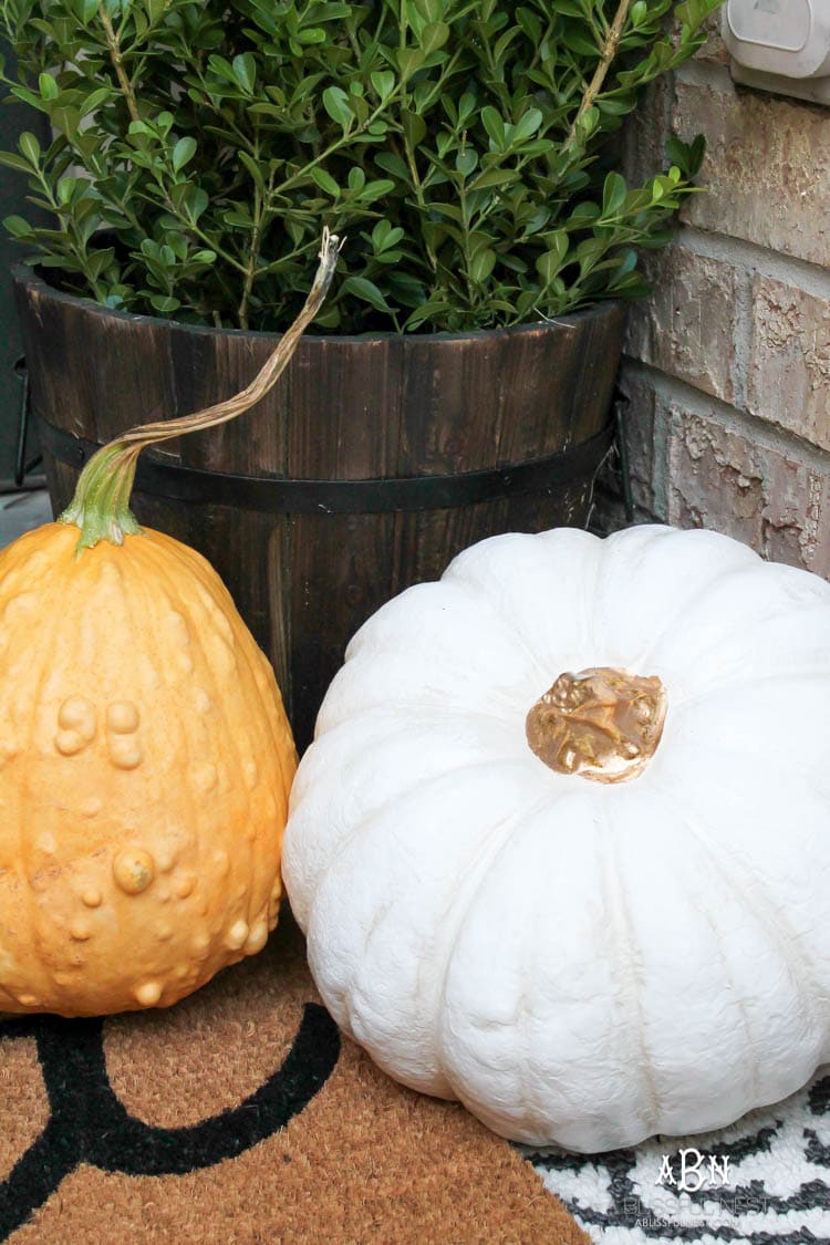 Classic colors with a pop of pattern make this gorgeous fall front porch! #fallfrontporch #falldecorideas