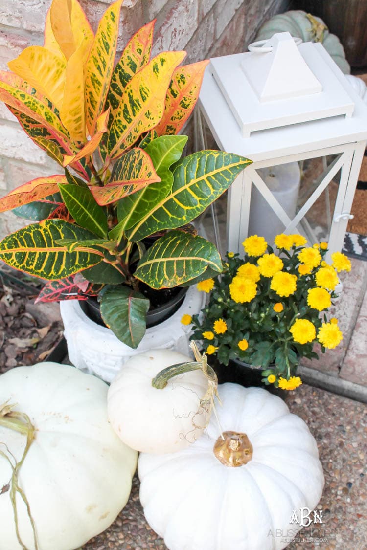 Classic colors with a pop of pattern make this gorgeous fall front porch! #fallfrontporch #falldecorideas