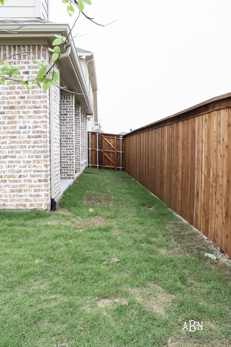 Outdoor dog deals fence with gate