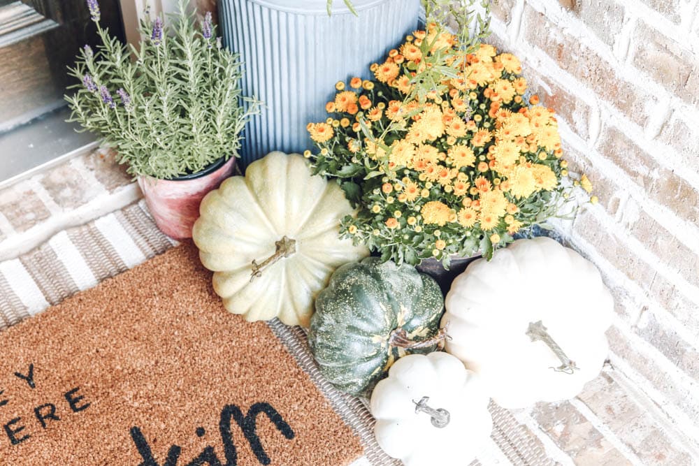 Fall porch details, mums, pumpkins, lavender plants, striped area rug layered with Hey There Pumpkin door mat. Fall decor, fall inspiration. #ABlissfulNest #falldecor #fallinspiration