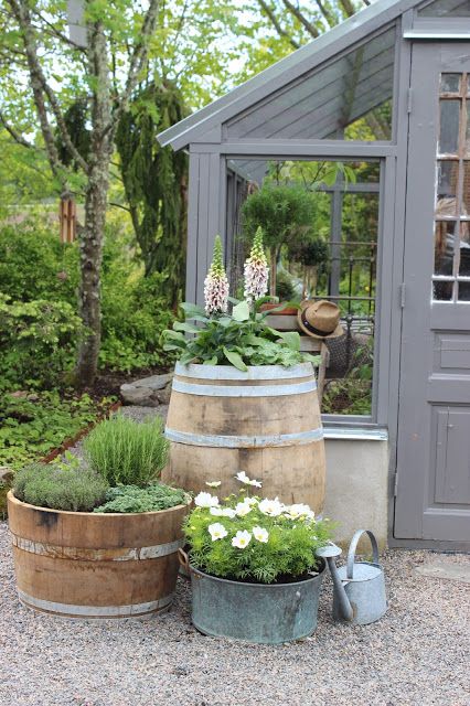 Use unusual pots and containers. 