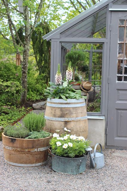 Container Garden Patio Designs / 11 Most Essential Container Garden