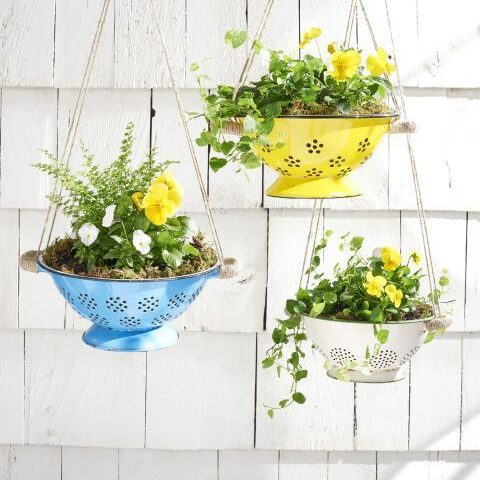 Image for Hanging Planters